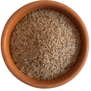 Karnıyarık Otu Tohumu Psyllium 100 gr Karnıyarık Otu Tohumu Psyllium 100 gr